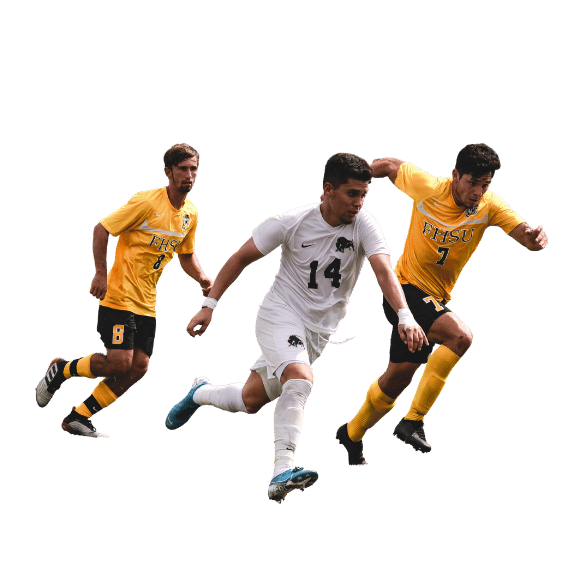 世界杯平台推荐服务